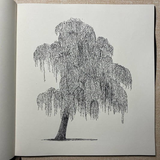 Clapton Pond Park, Sketchbook Original Drawing