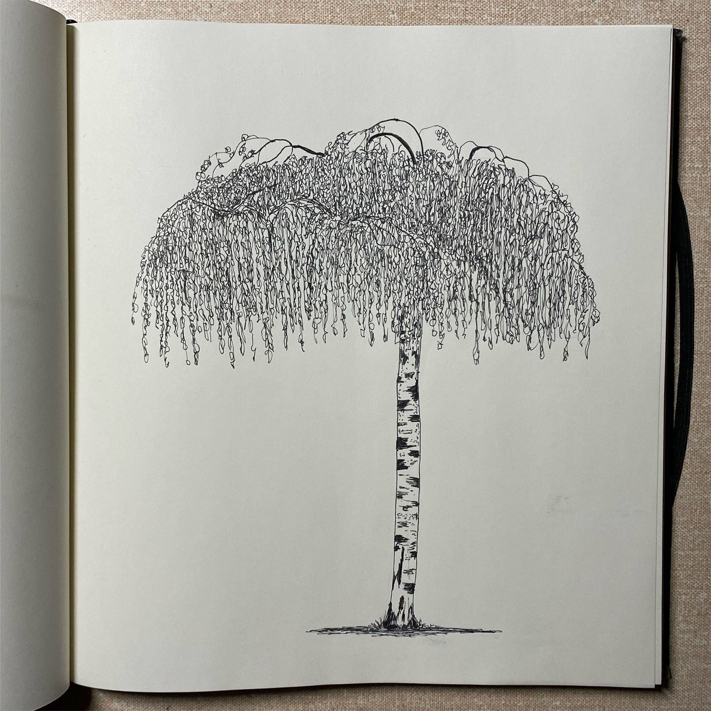 Weeping Birch, Sketchbook Original Drawing