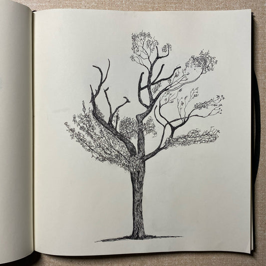 Hackney Marshes, Sketchbook Original Drawing