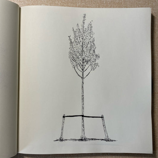 Clissold Park, Sketchbook Original Drawing