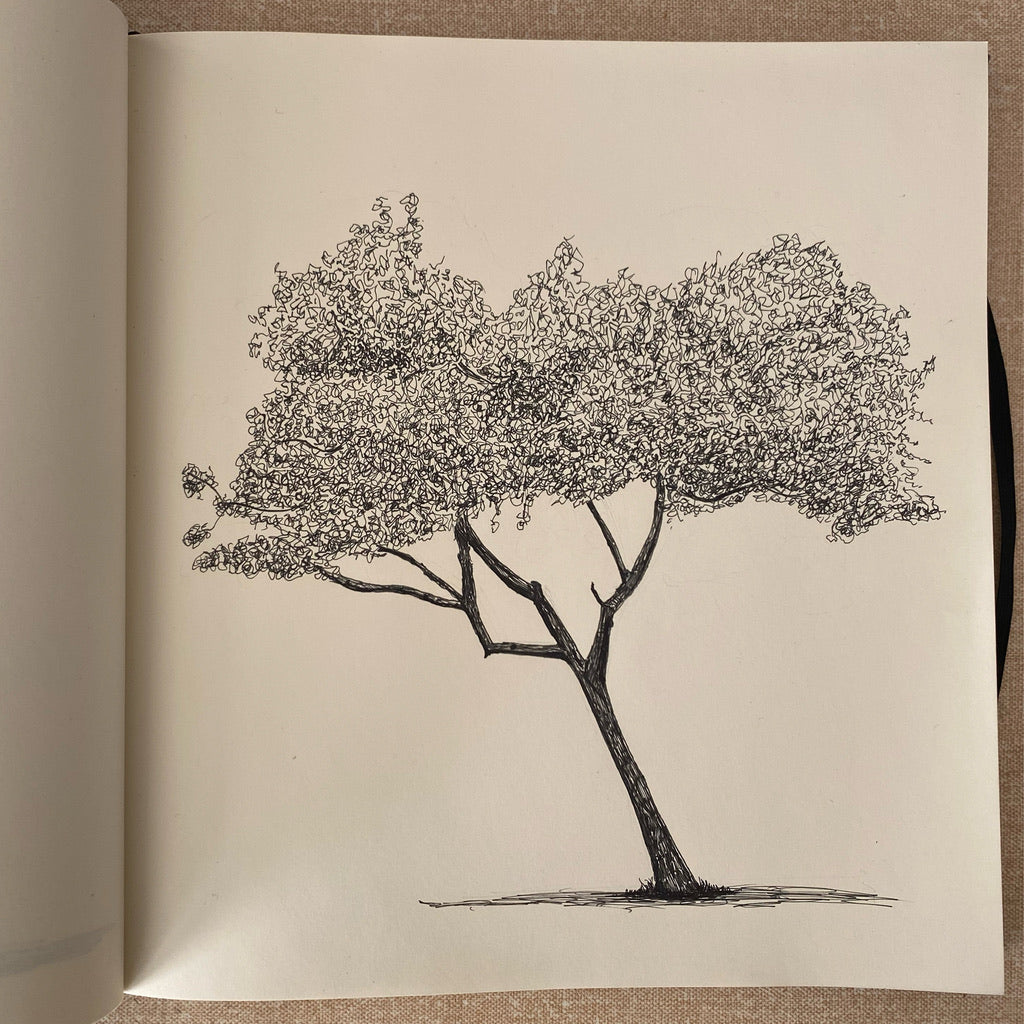 Clissold Park Tree, Giclee Print
