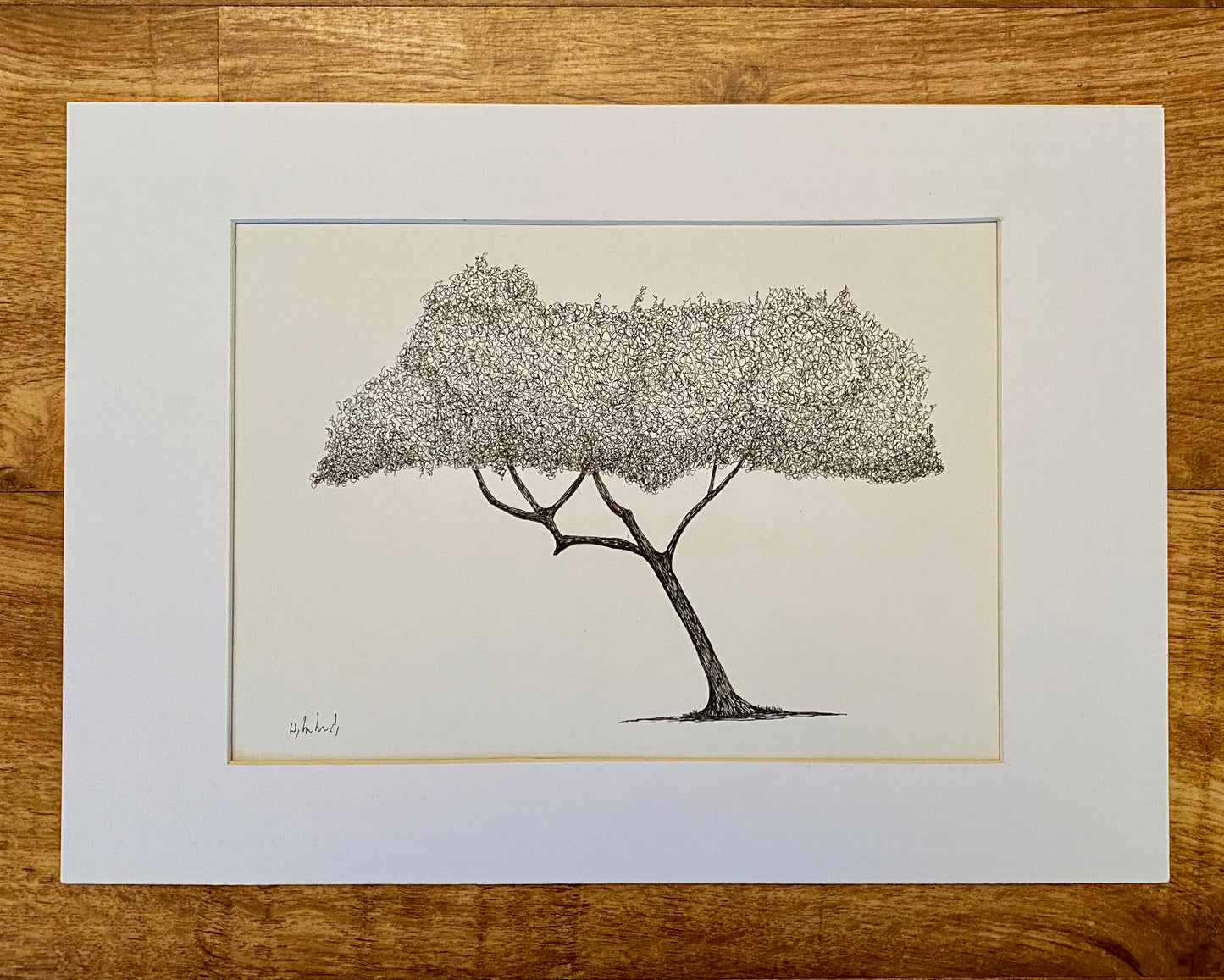 Hand drawn Clissold Park Tree. A4
