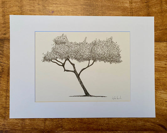 Clissold Park Tree Giclee Print. A4
