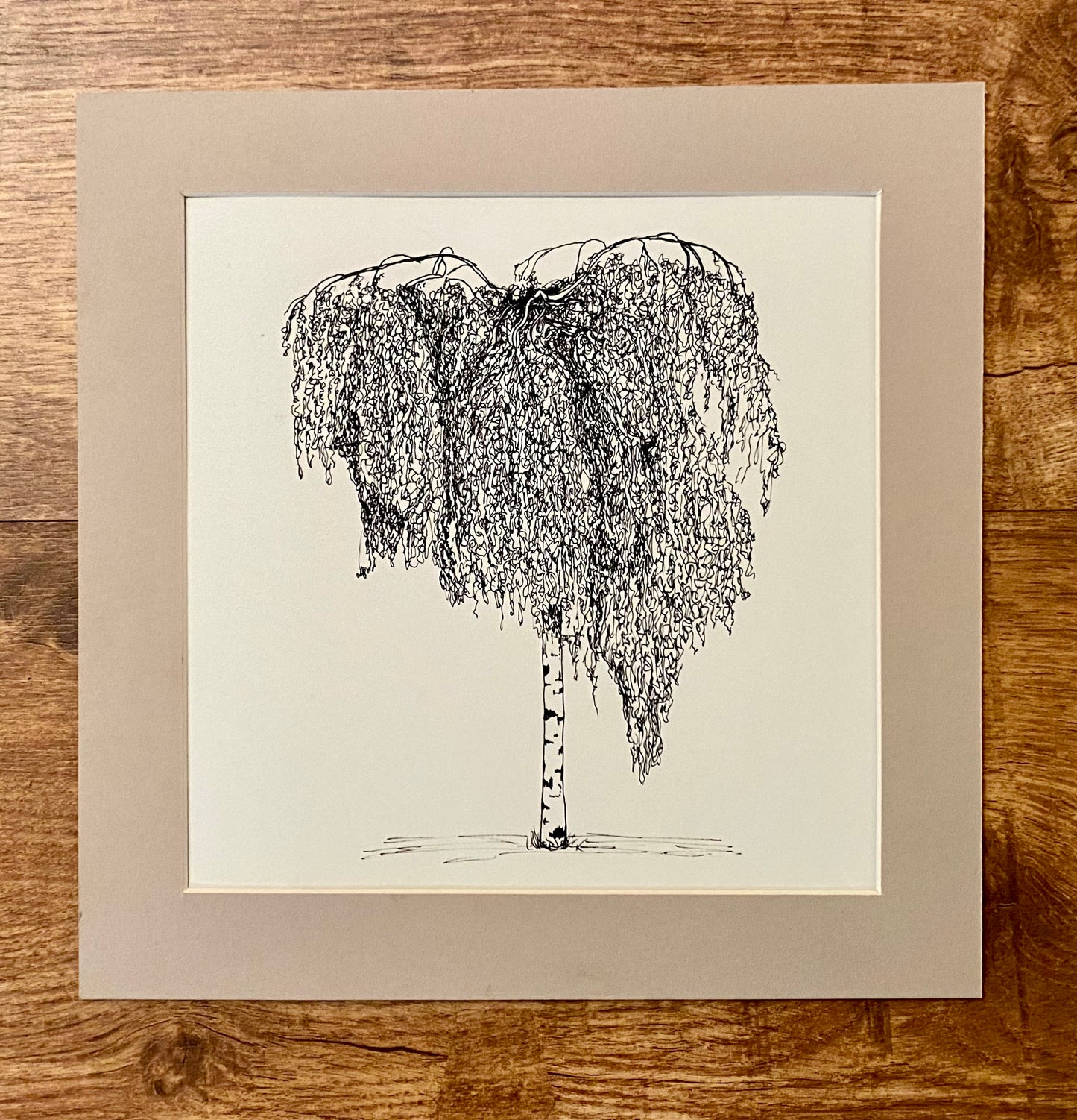 Clisold Park Weeping Silver Birch, Giclee Print