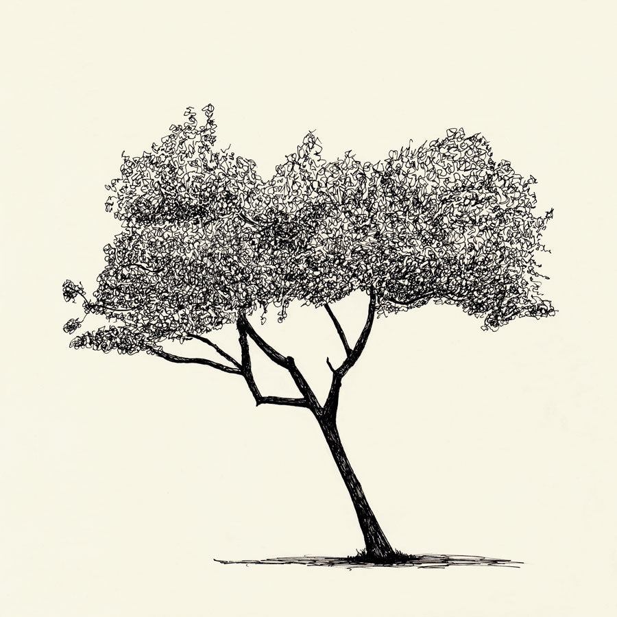 Clissold Park Tree, Giclee Print