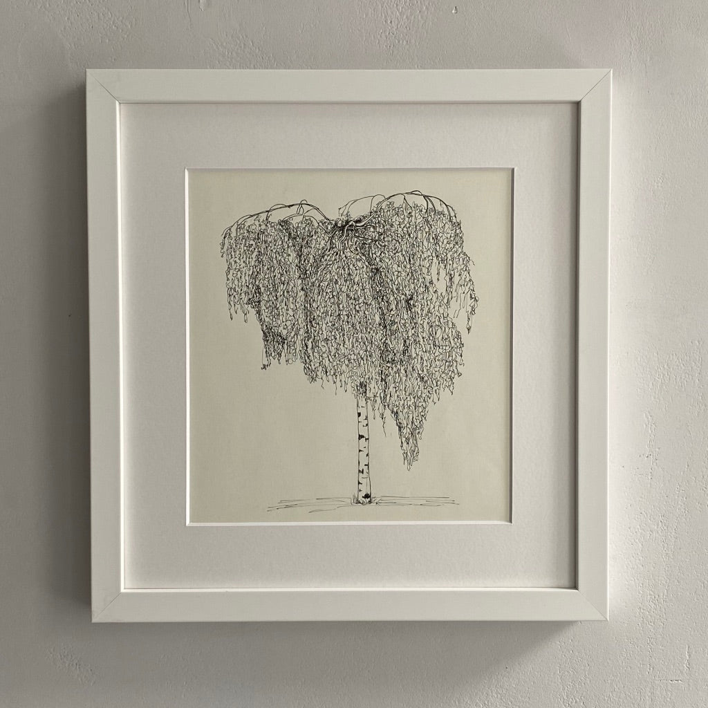 Clisold Park Weeping Silver Birch, Giclee Print